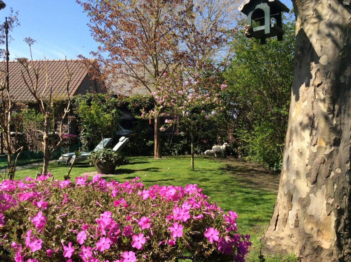 B&B Le Jardin NeerNeerpelt 外观 照片