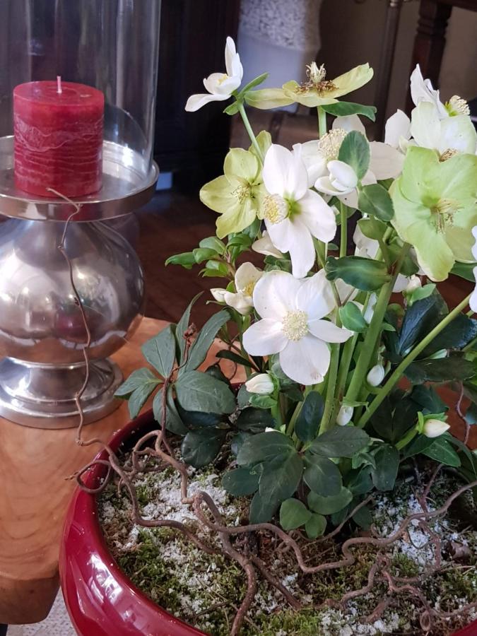 B&B Le Jardin NeerNeerpelt 外观 照片
